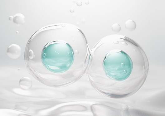 토탈 안티에이징 & 웰니스 케어 시스템