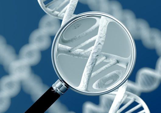 숙련된 전문 의료진상담