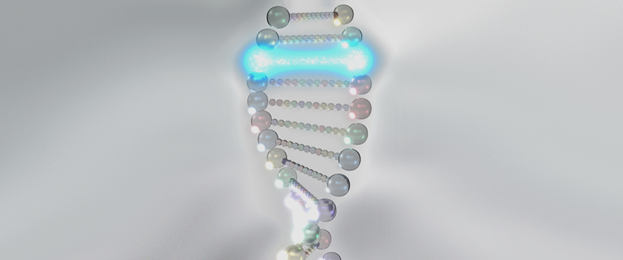 안전하고 효과적인 자가 줄기세포 사용