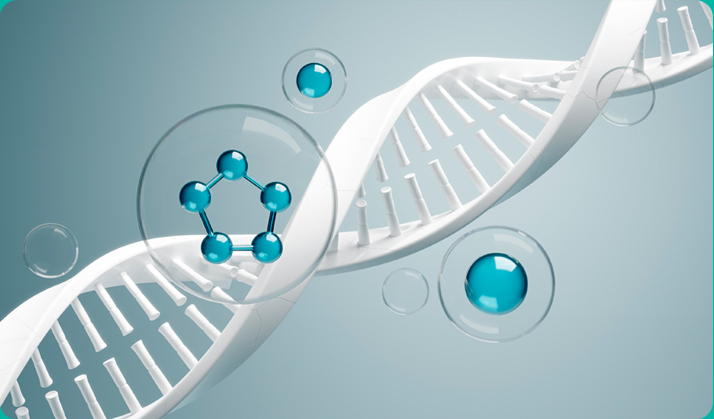 항노화 줄기세포치료