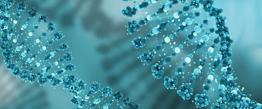 안전하고 효과적인 자가 줄기세포 사용