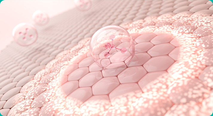 줄기세포 스킨케어